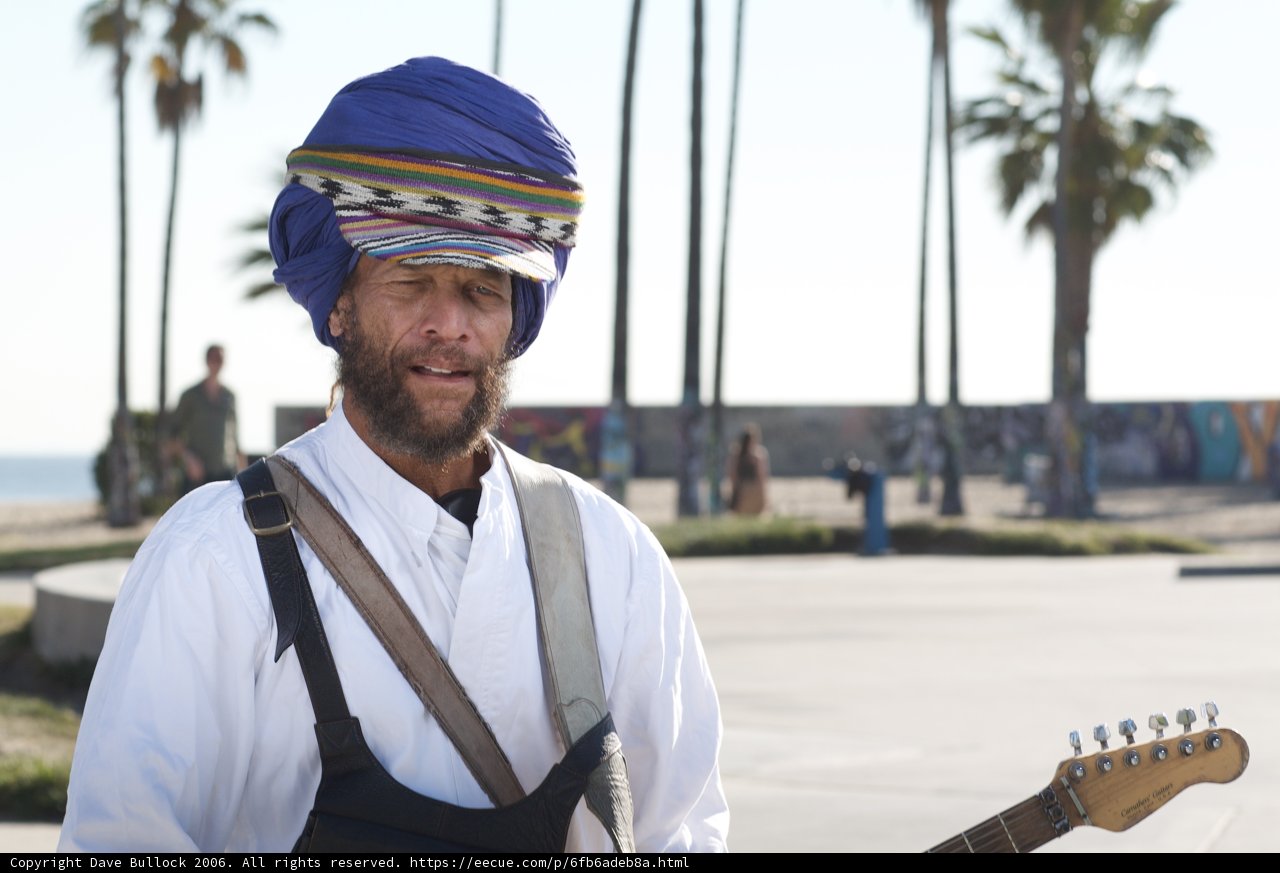Turbaned Guitarist Amongst Palm Trees