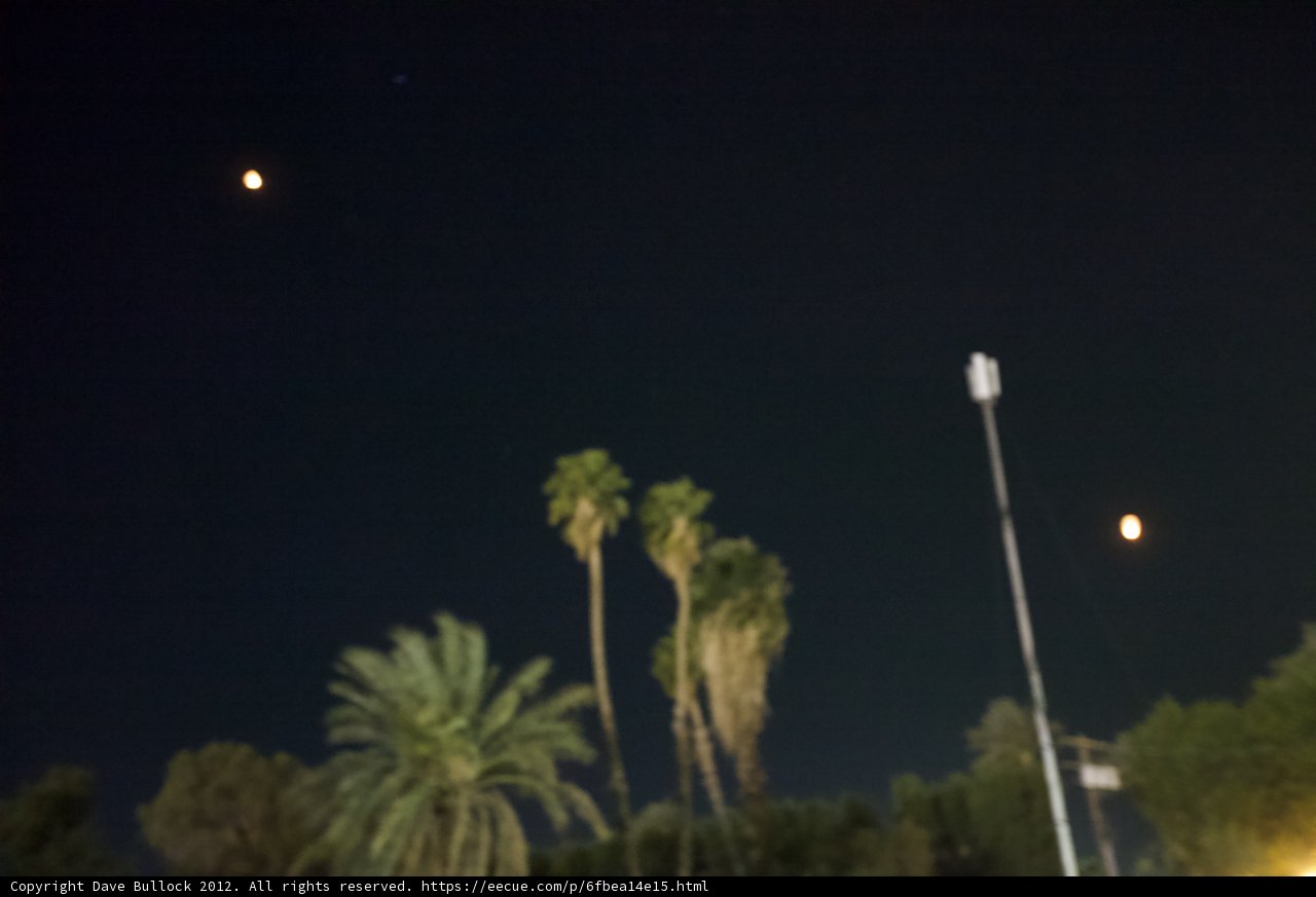 Moonlit Palm Trees