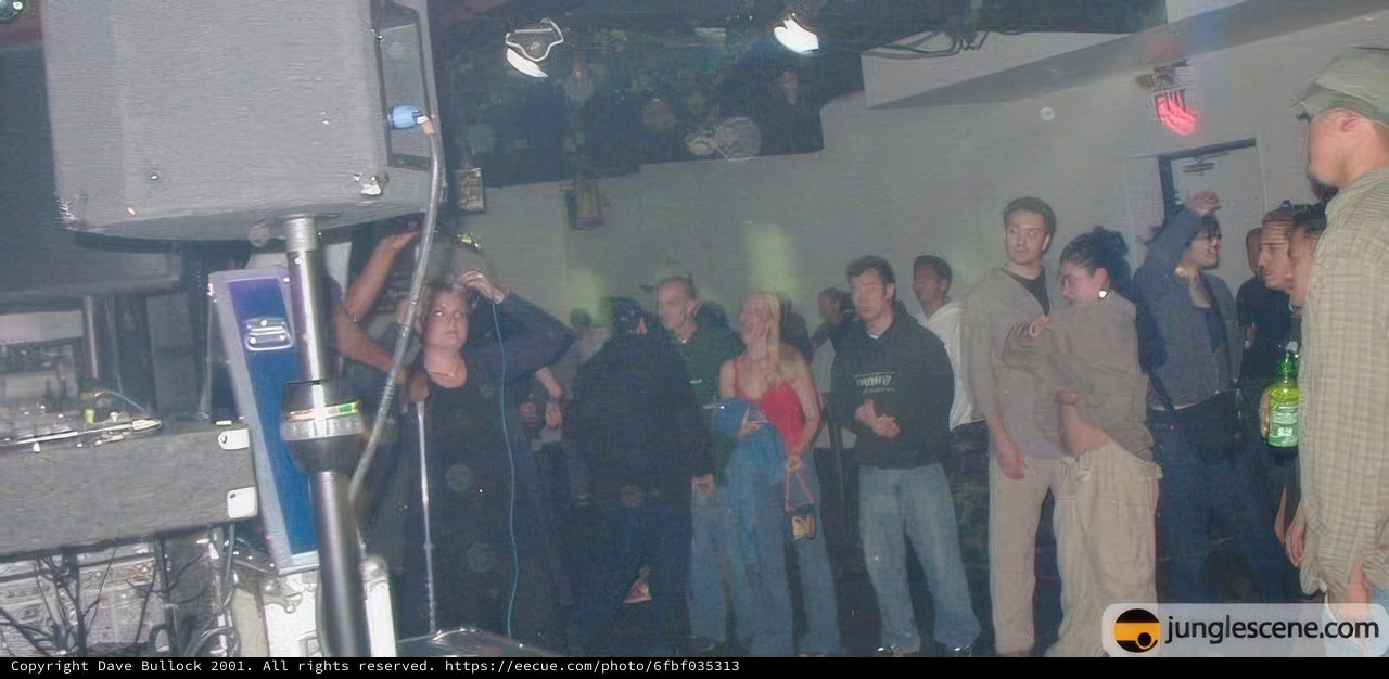 Nightclub DJ Wows Crowds with Electric Performance