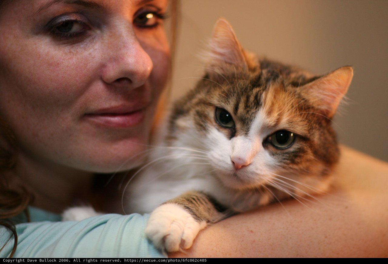 Woman and Calico Cat Share a Tender Moment