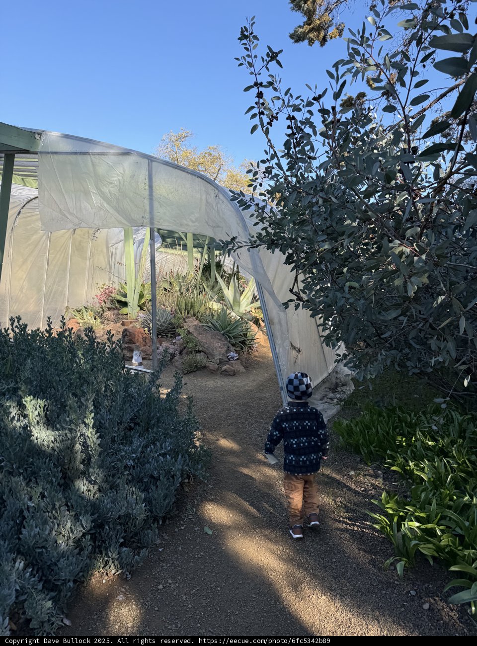 Exploring the Green World