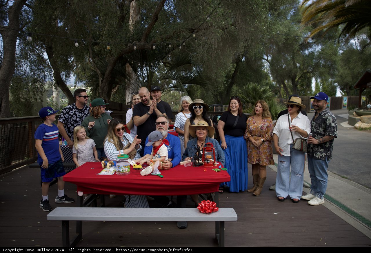**A Joyful Celebration Under the Trees**
