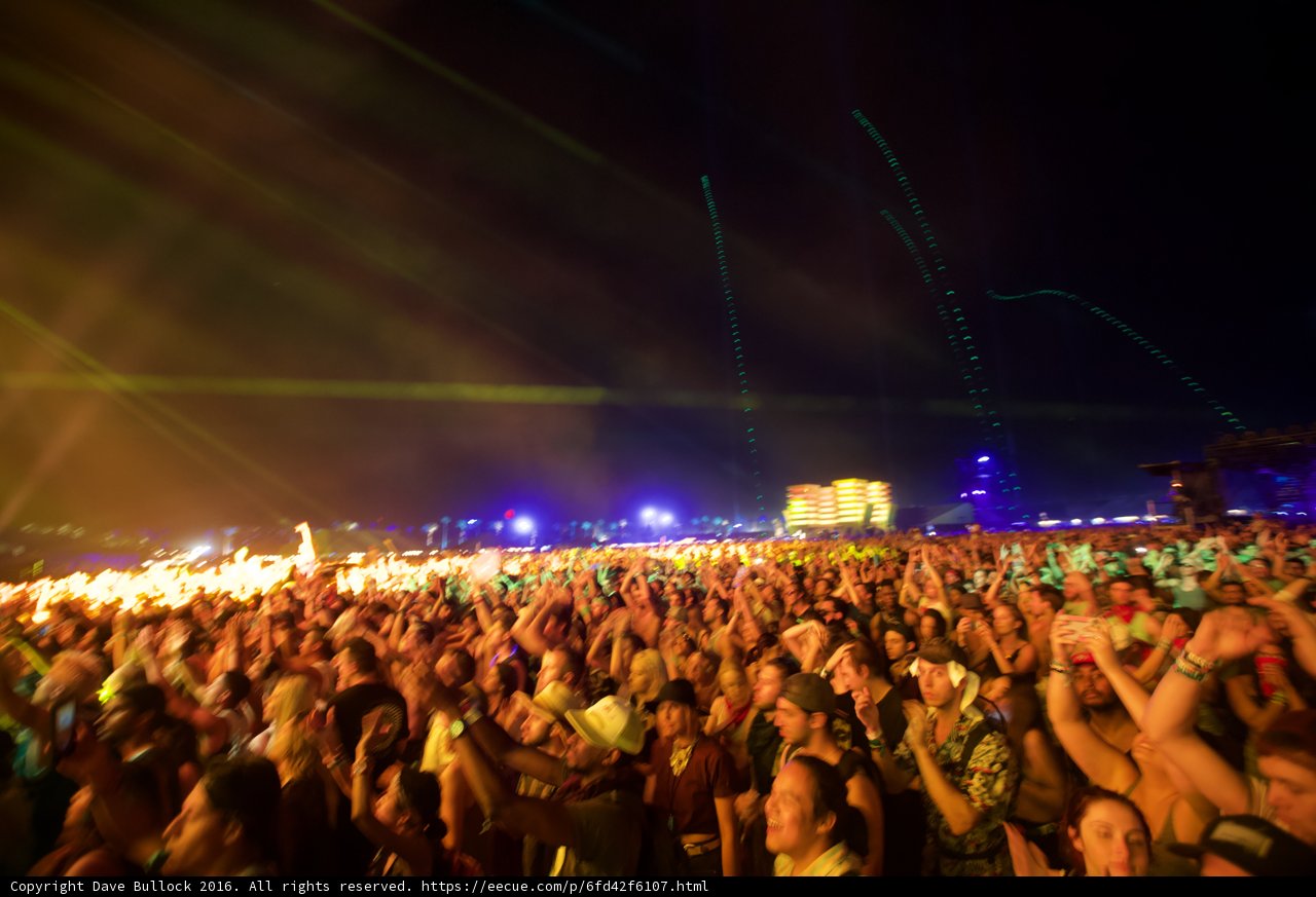 Electric Nights at Coachella