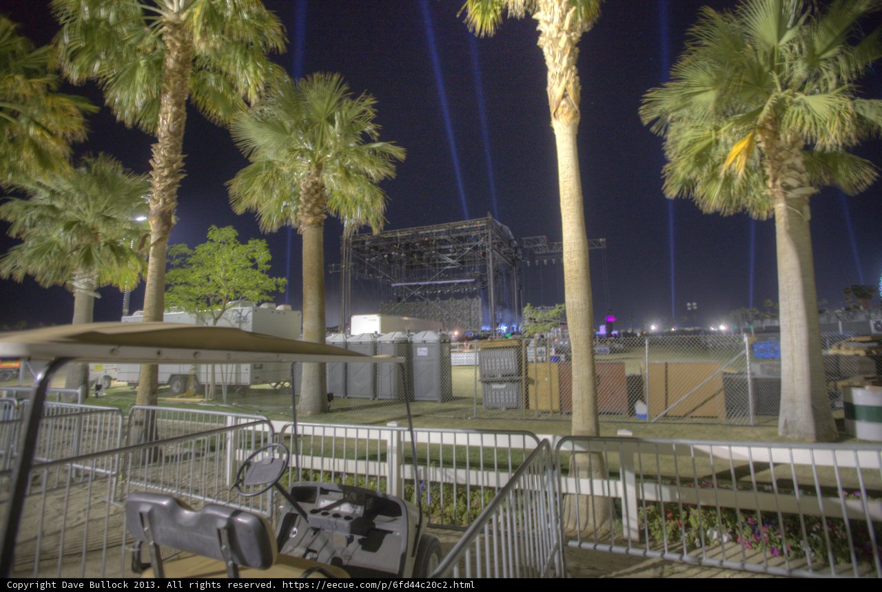 Nighttime Performance Amongst Palm Trees