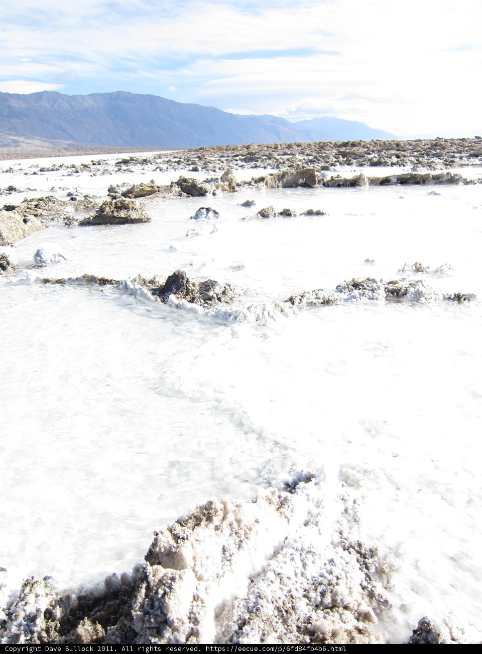 Frozen Oasis