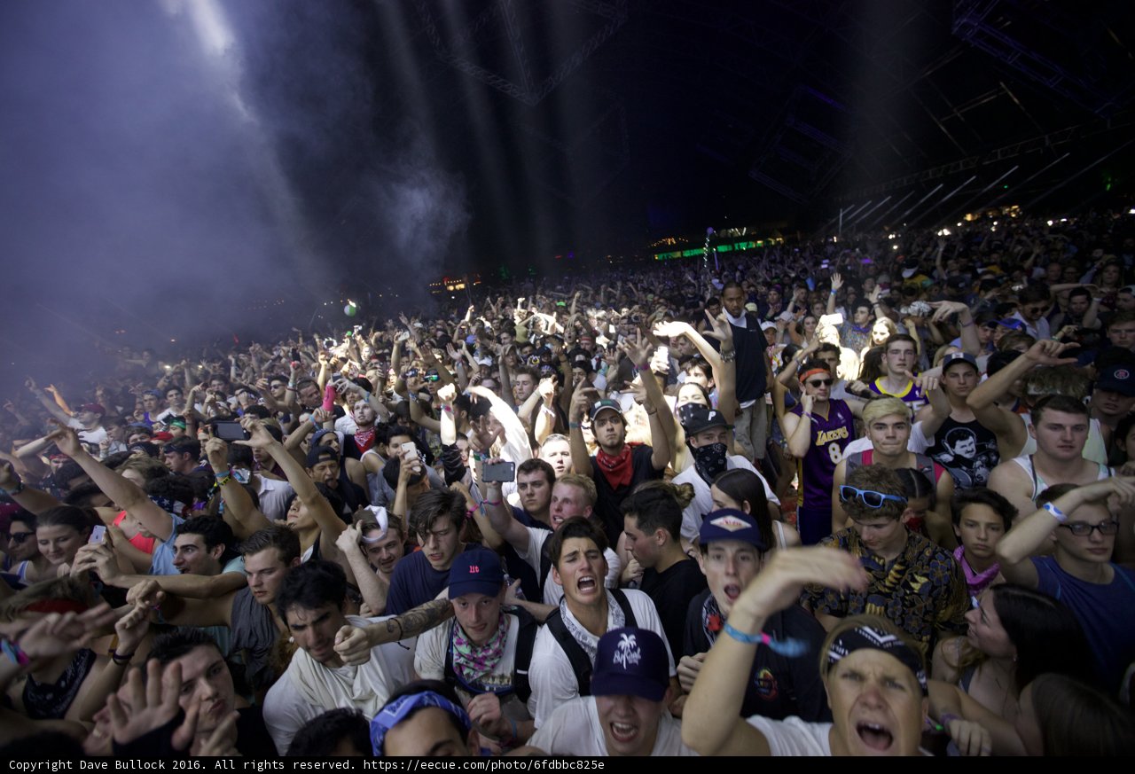 A Night of Fun and Music at Coachella