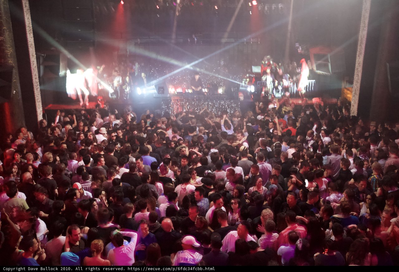 Nightlife Fever