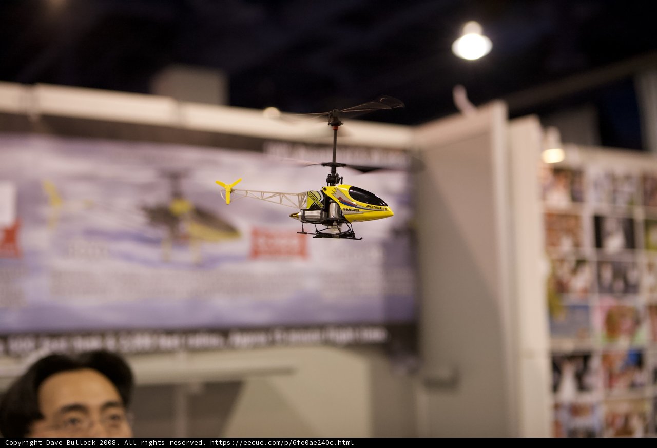 Fascination with Flying