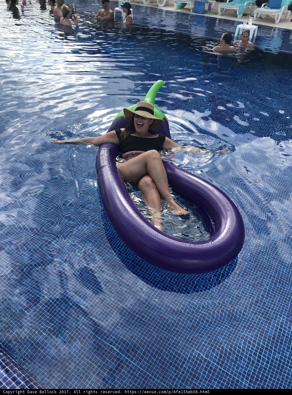 The Perfect Pool Day