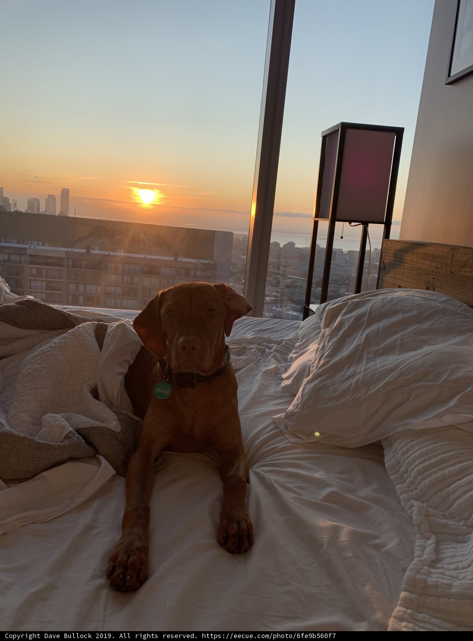 Sunset Serenade