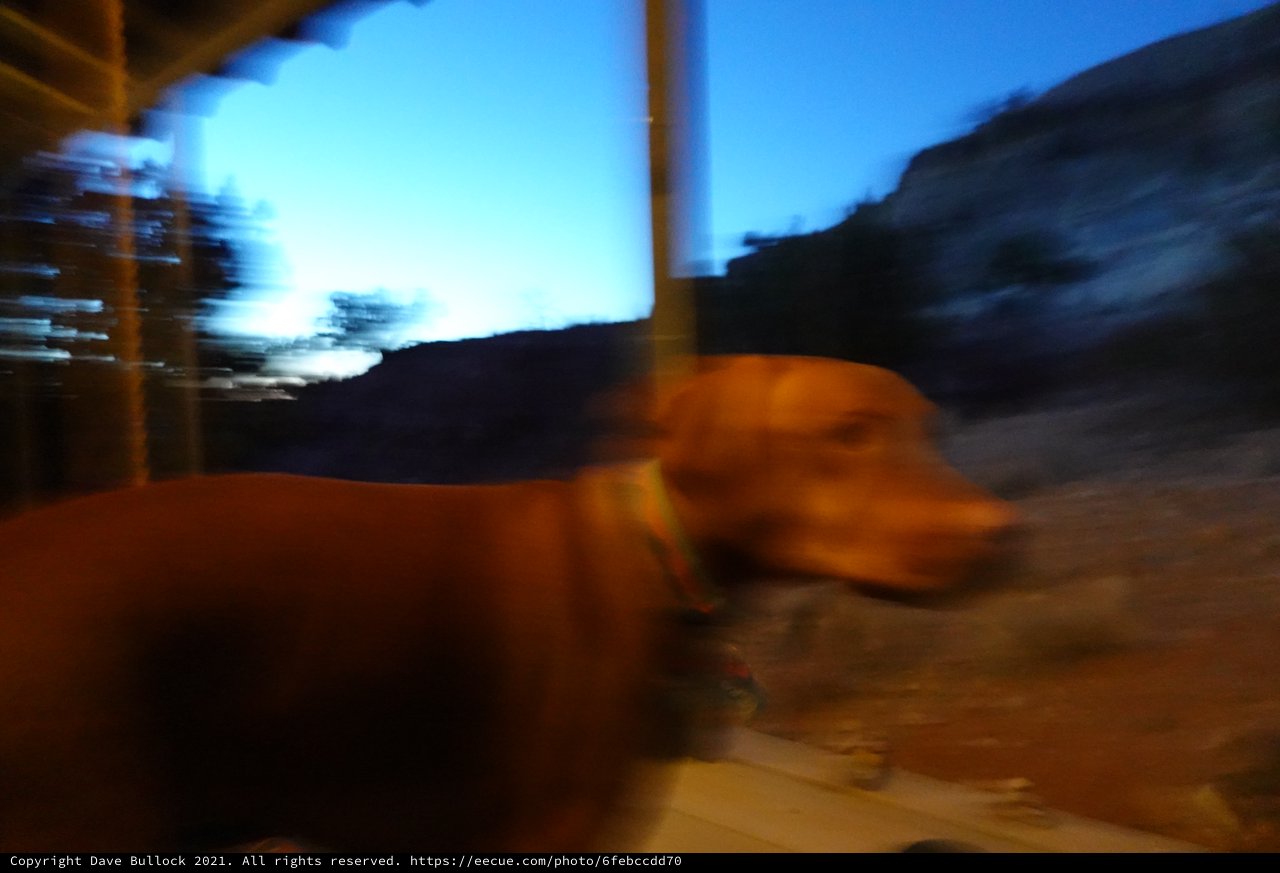 Motion Blur Portrait at Mountain Lodge