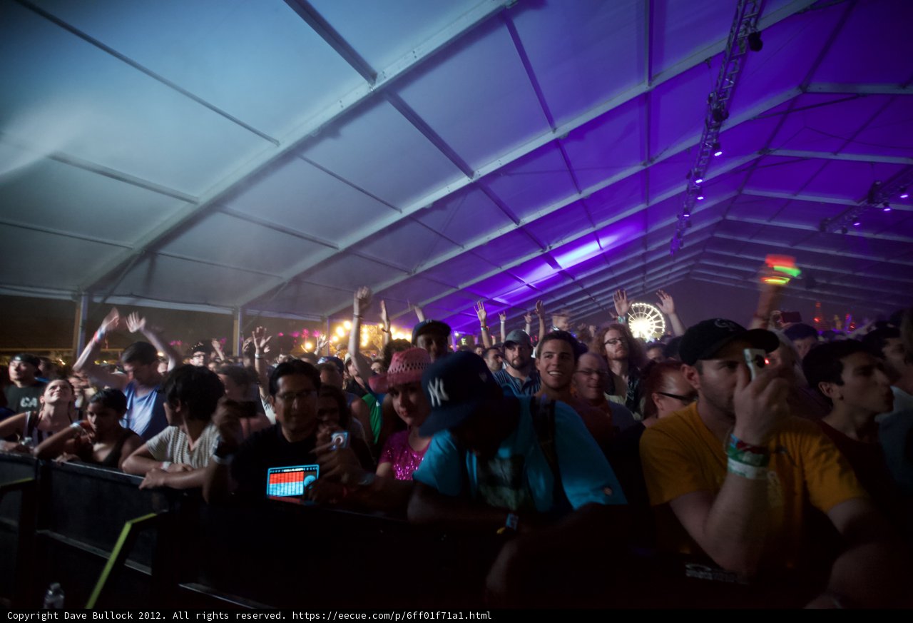 A Sea of Faces at Coachella 2012