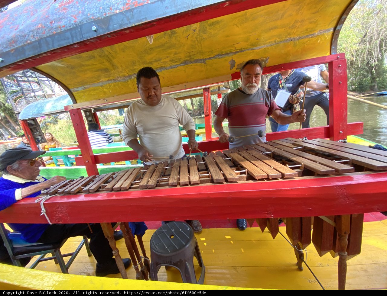 Musical Journey on the Lake