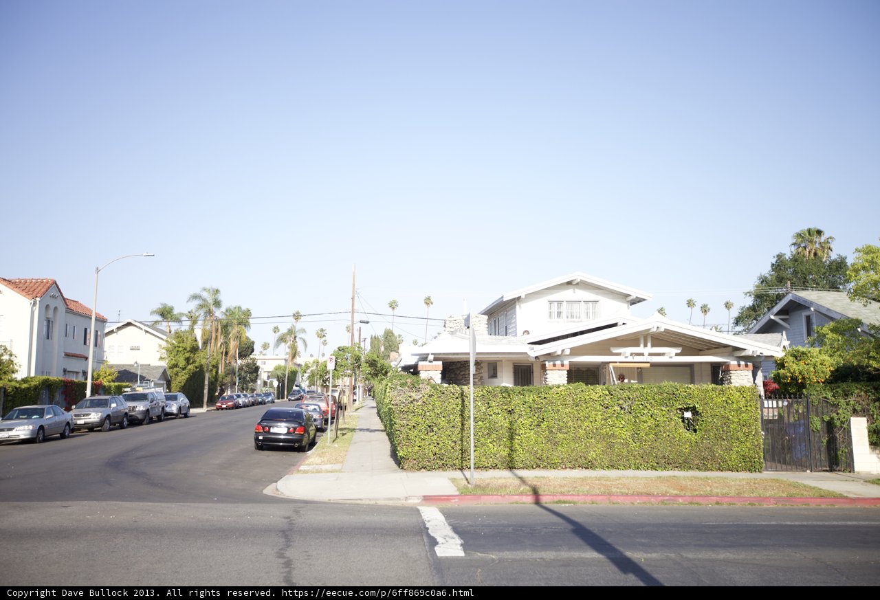 A Peaceful Neighborhood Street