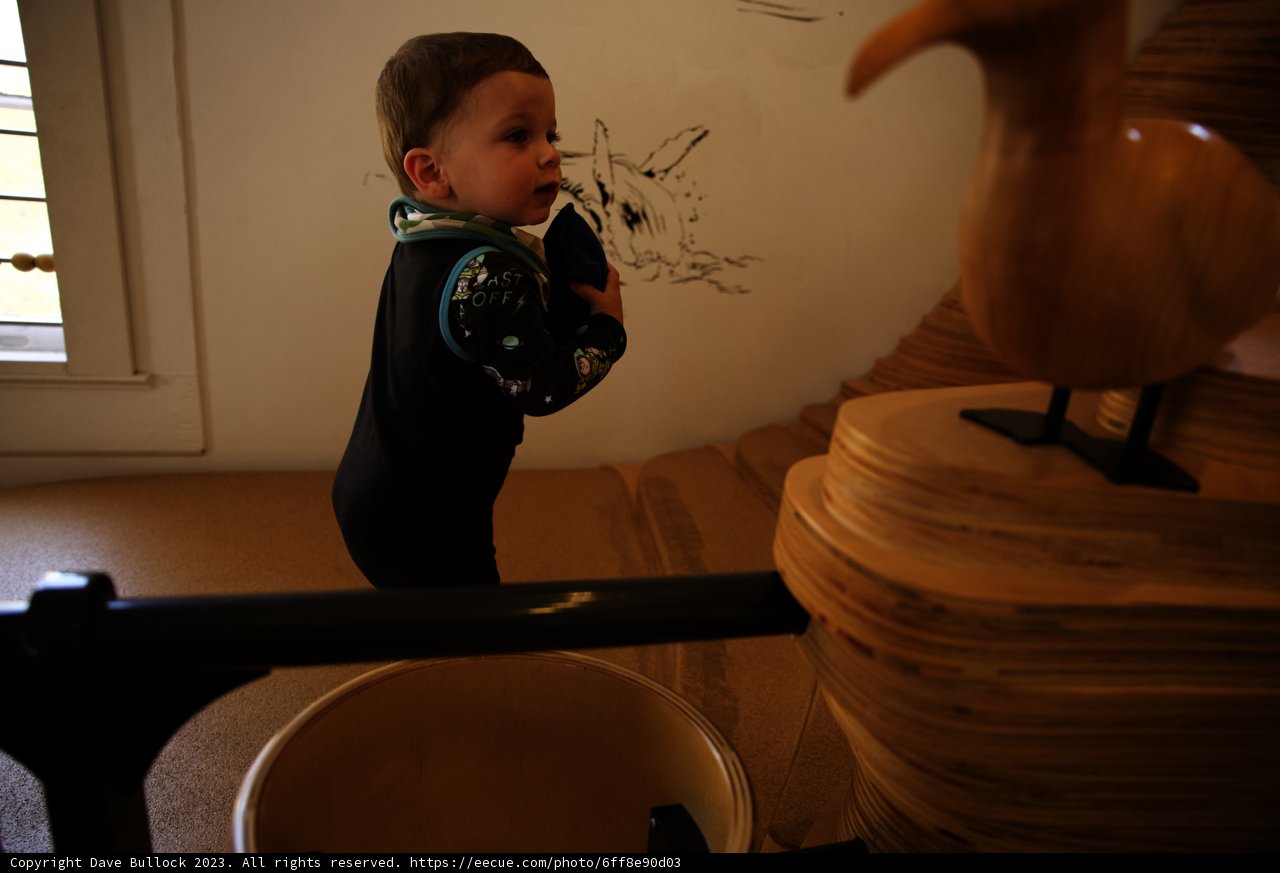 Young Curiosity: A Boy and a Wooden Bird