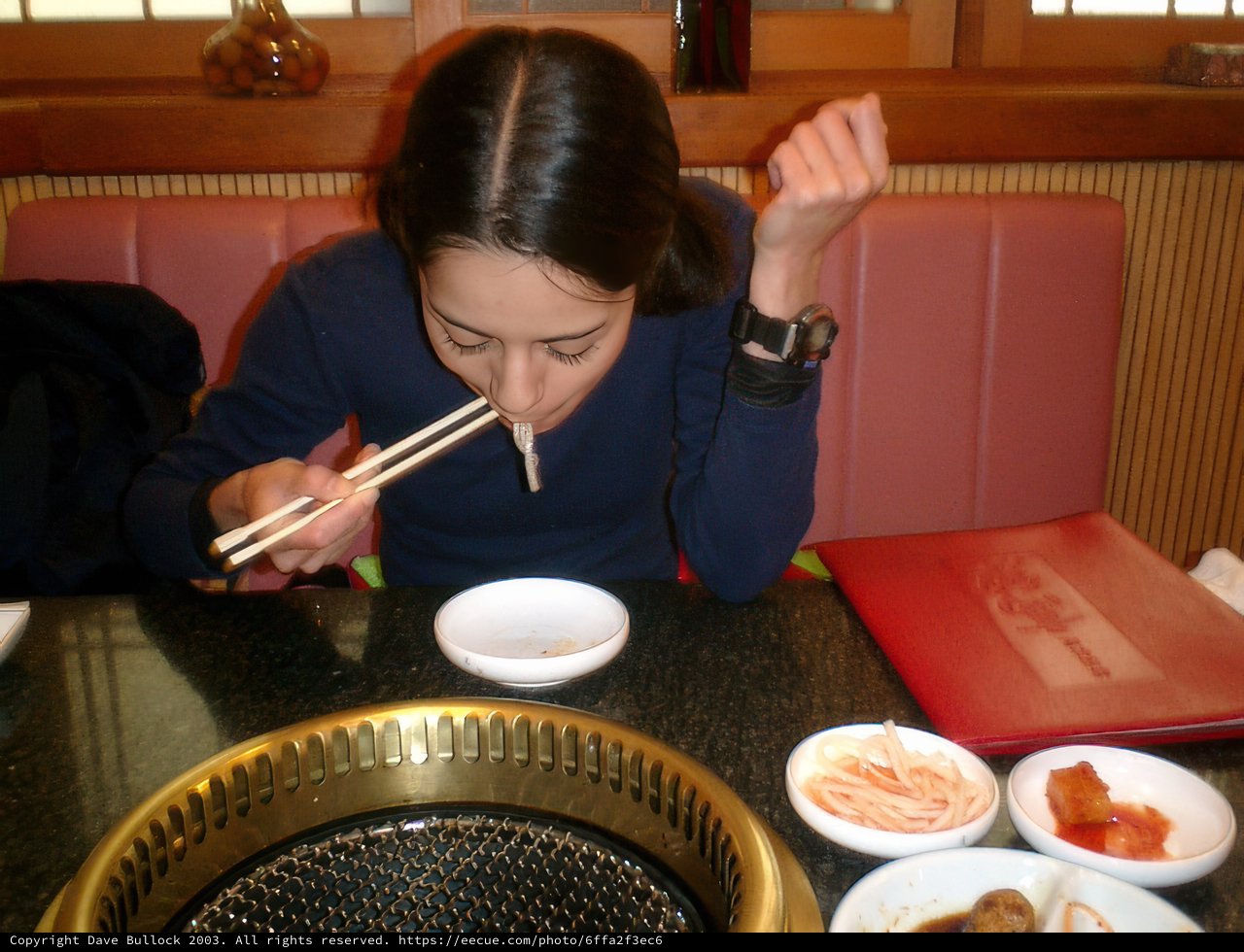 Enjoying a Japanese Meal