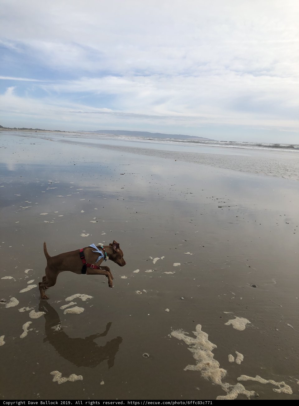 Running Free