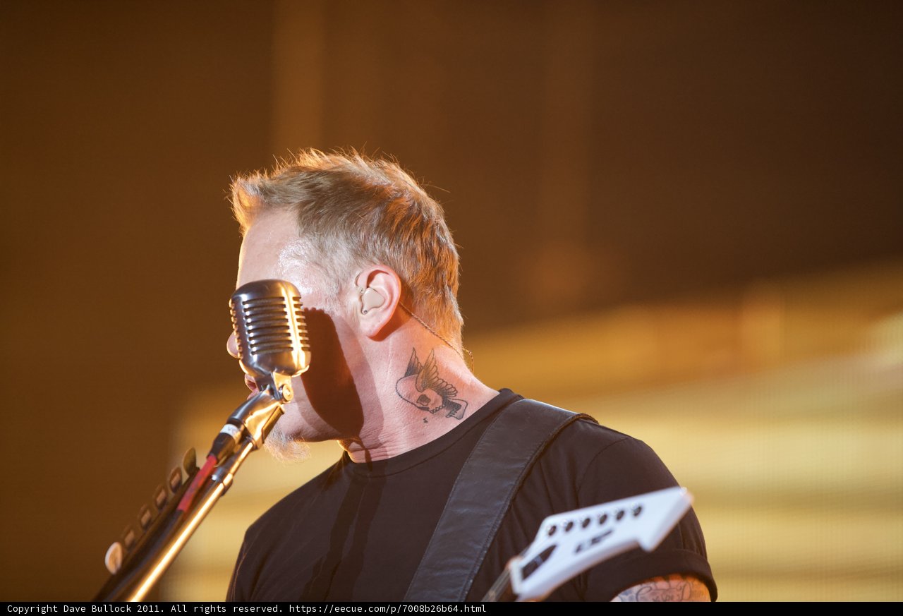 Tattooed Singer Rocks the 2011 Big Four Festival