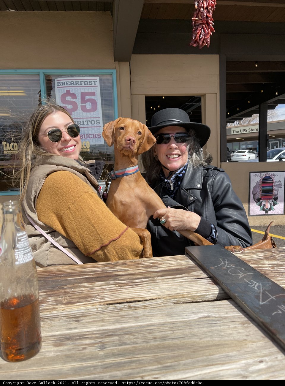 Two Women and their Furry Friend Enjoy an Afternoon Drink