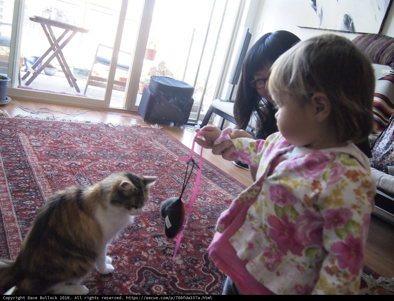 Little Girl and Her Feline Friend