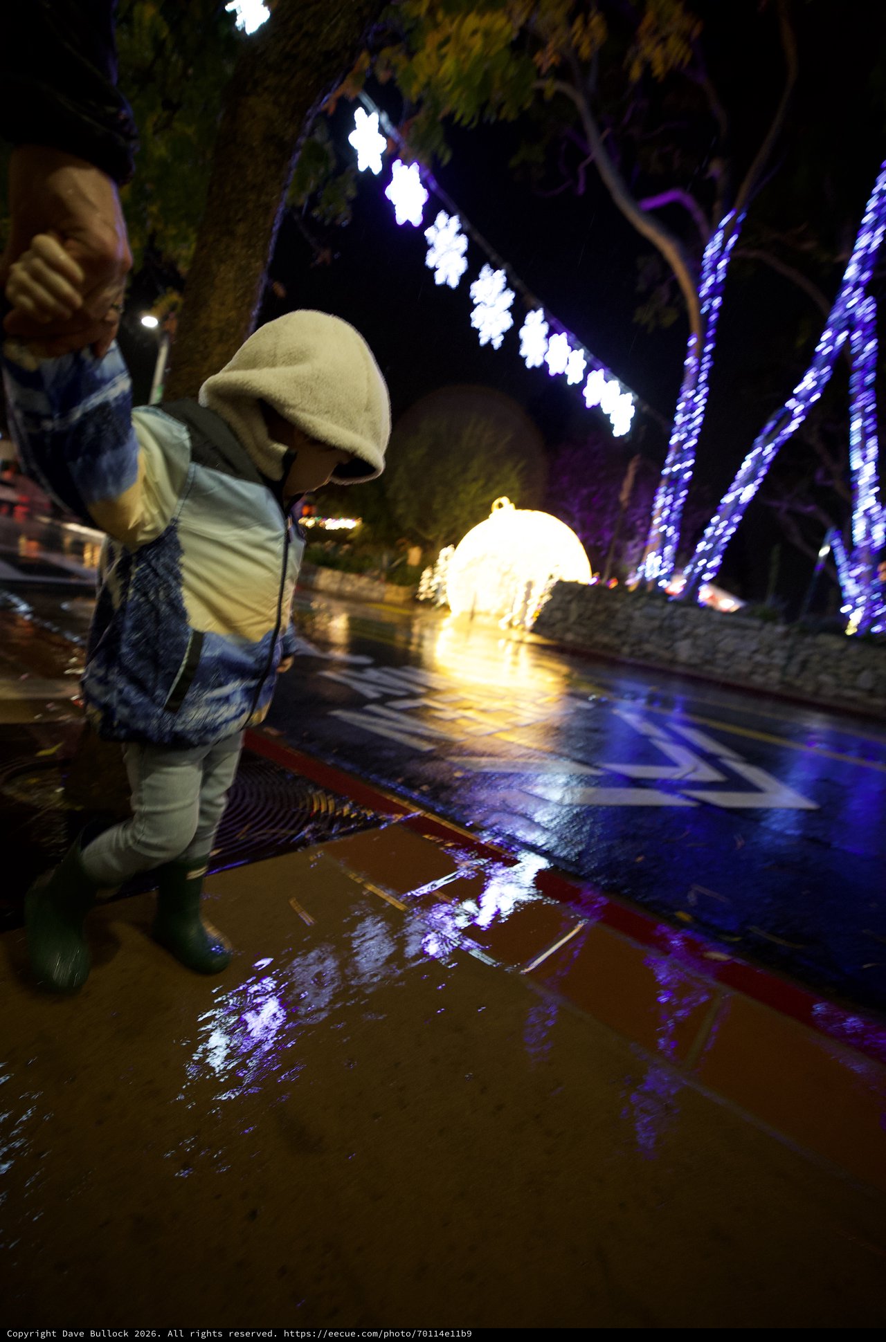 Child Playing in Illuminated Holiday Water Feature at Night