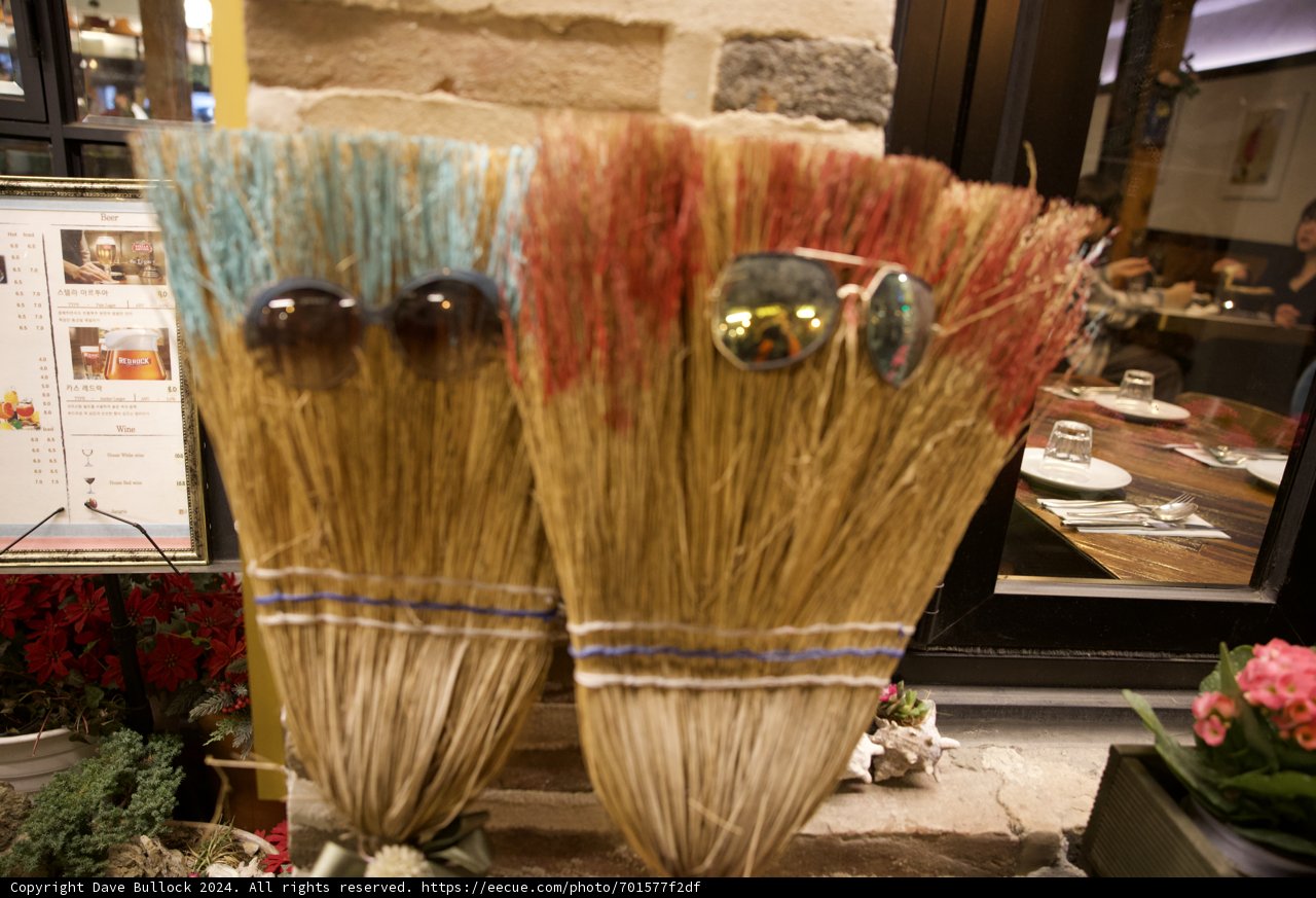 Quirky Broom Buddies in Korea 2024