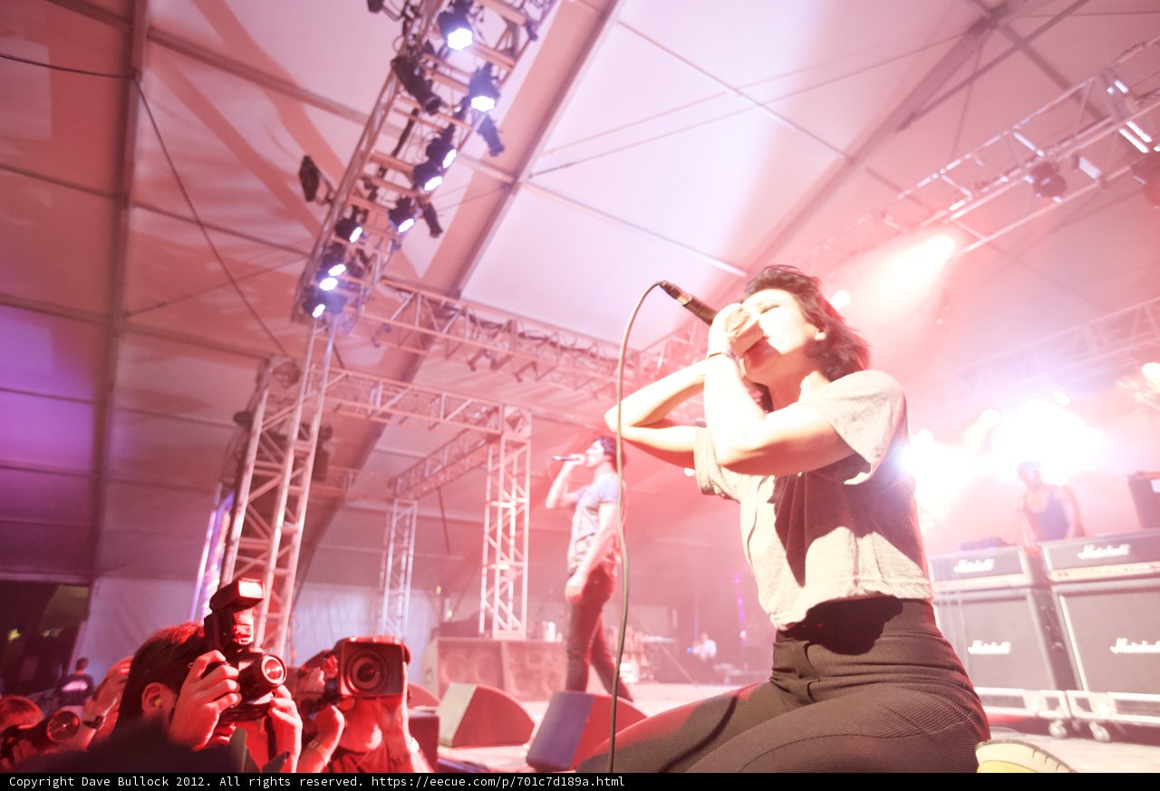 Spotlight on the Female Entertainer