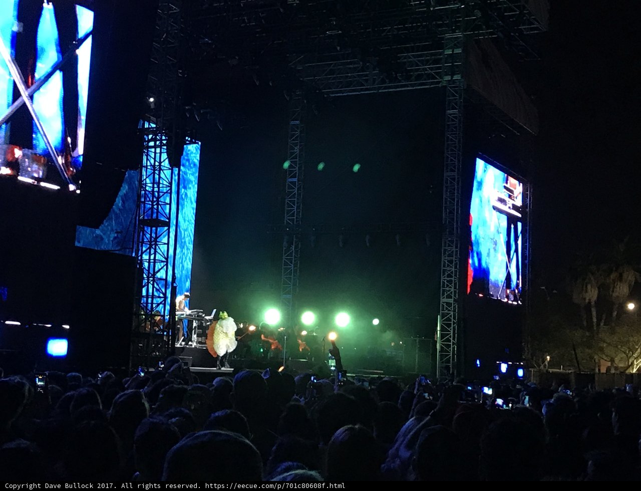 Concert Fever