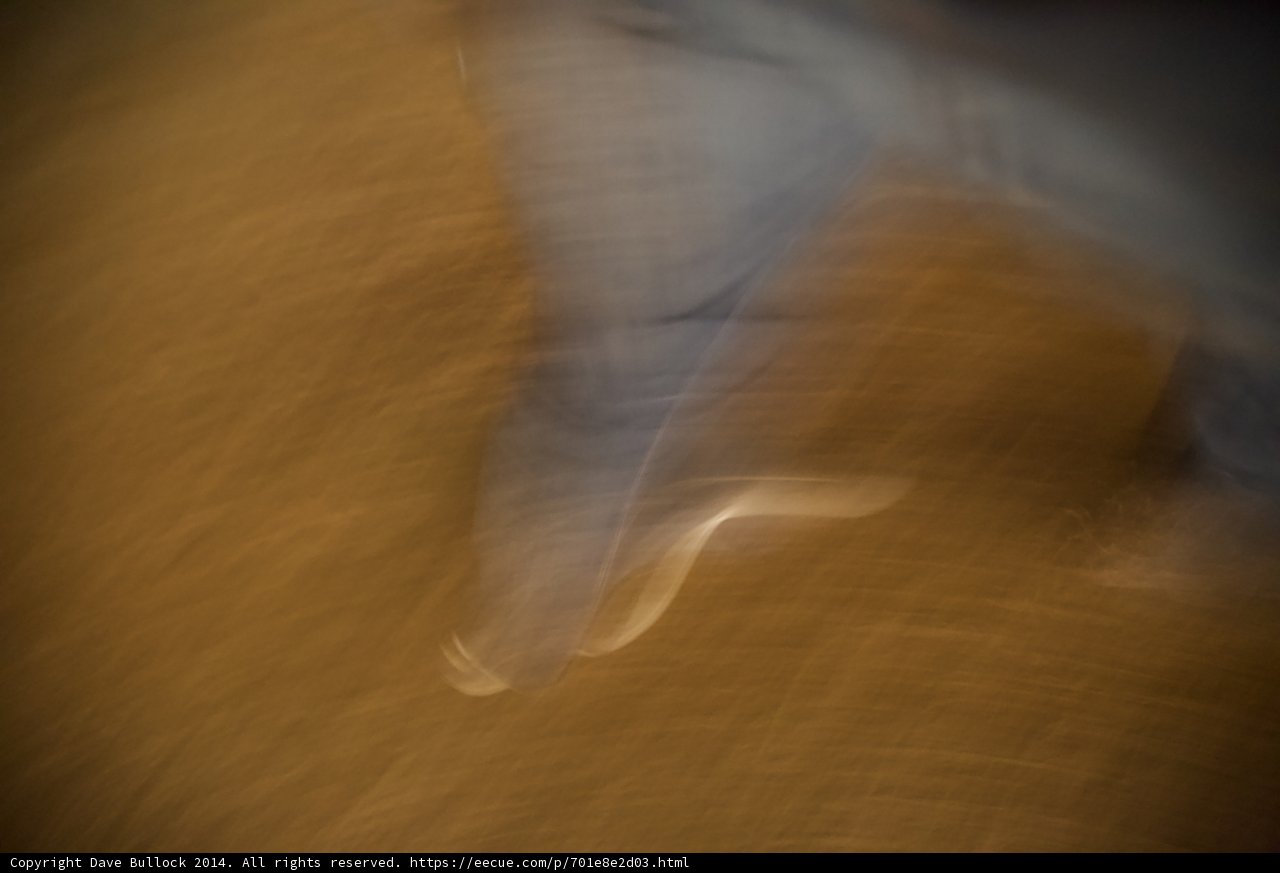 Blurry Walk in the Wooded Desert