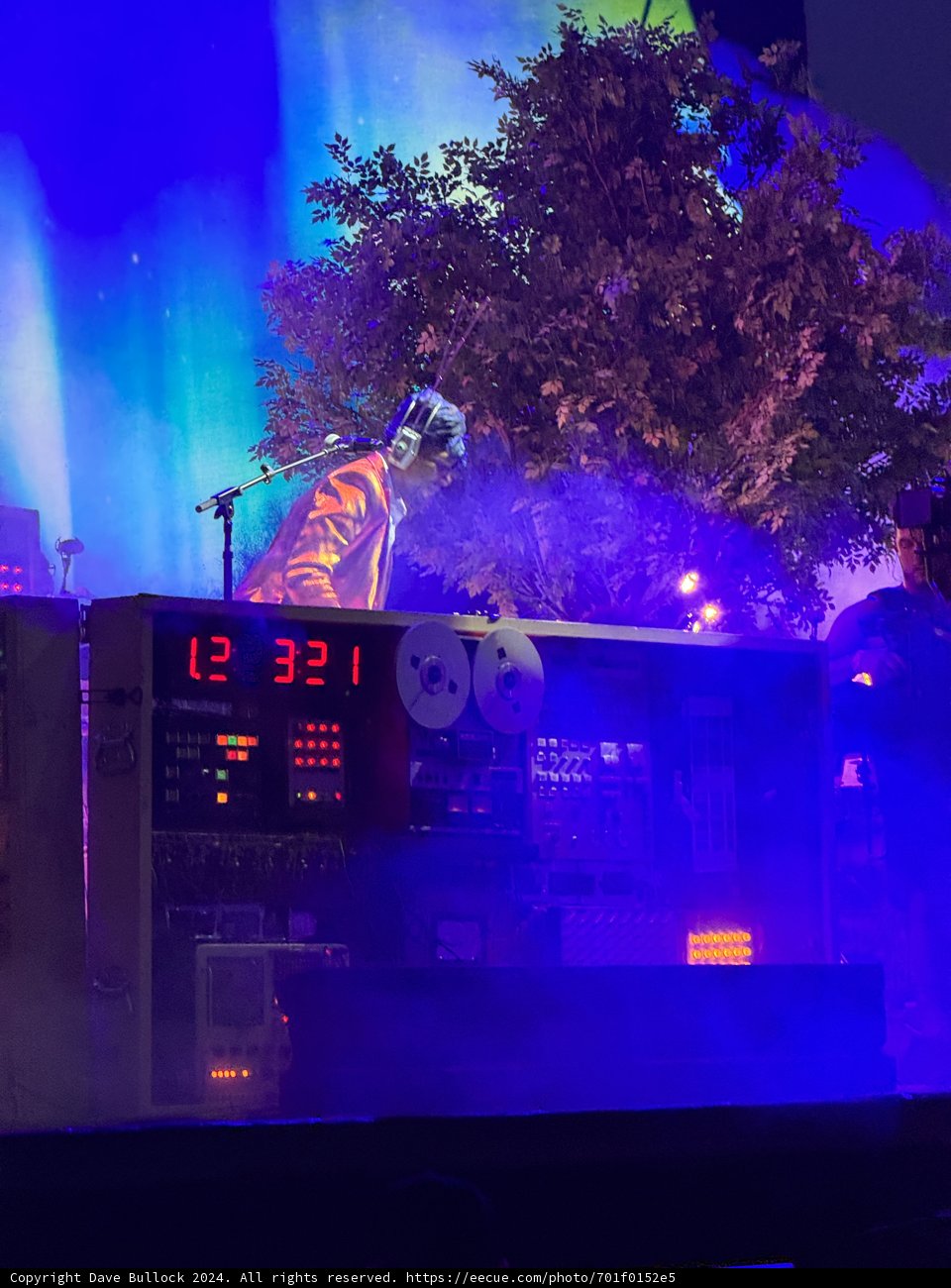 Nighttime Serenade at Coachella 2024