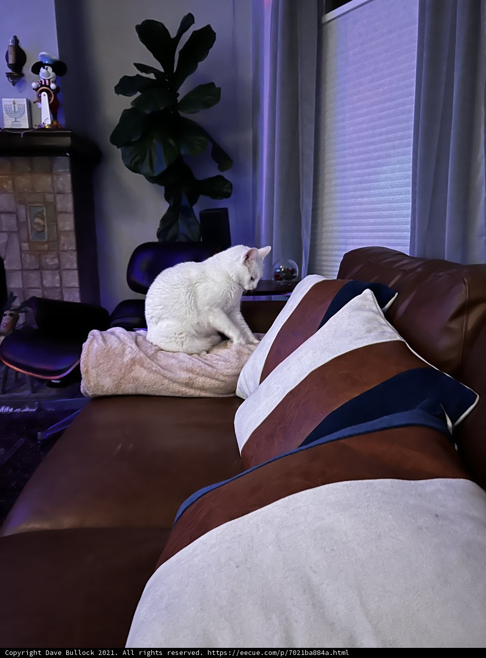 Couch Companion