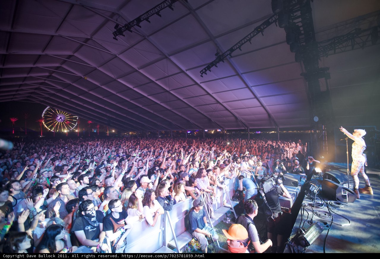 Coachella 2011: The Electric Crowd