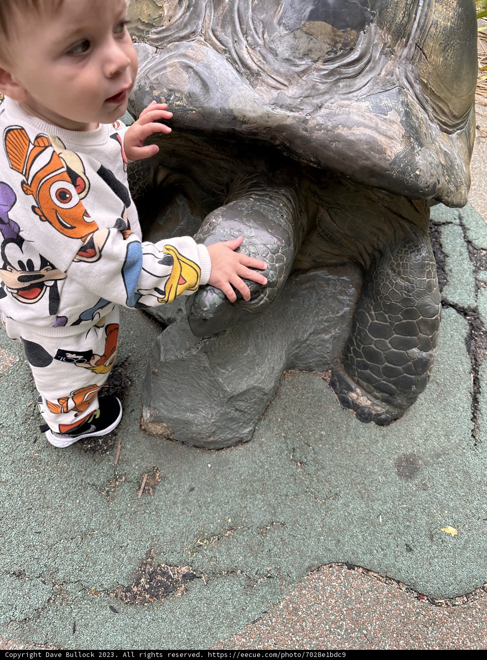 Wesley's First Encounter with a Terrapin Tale