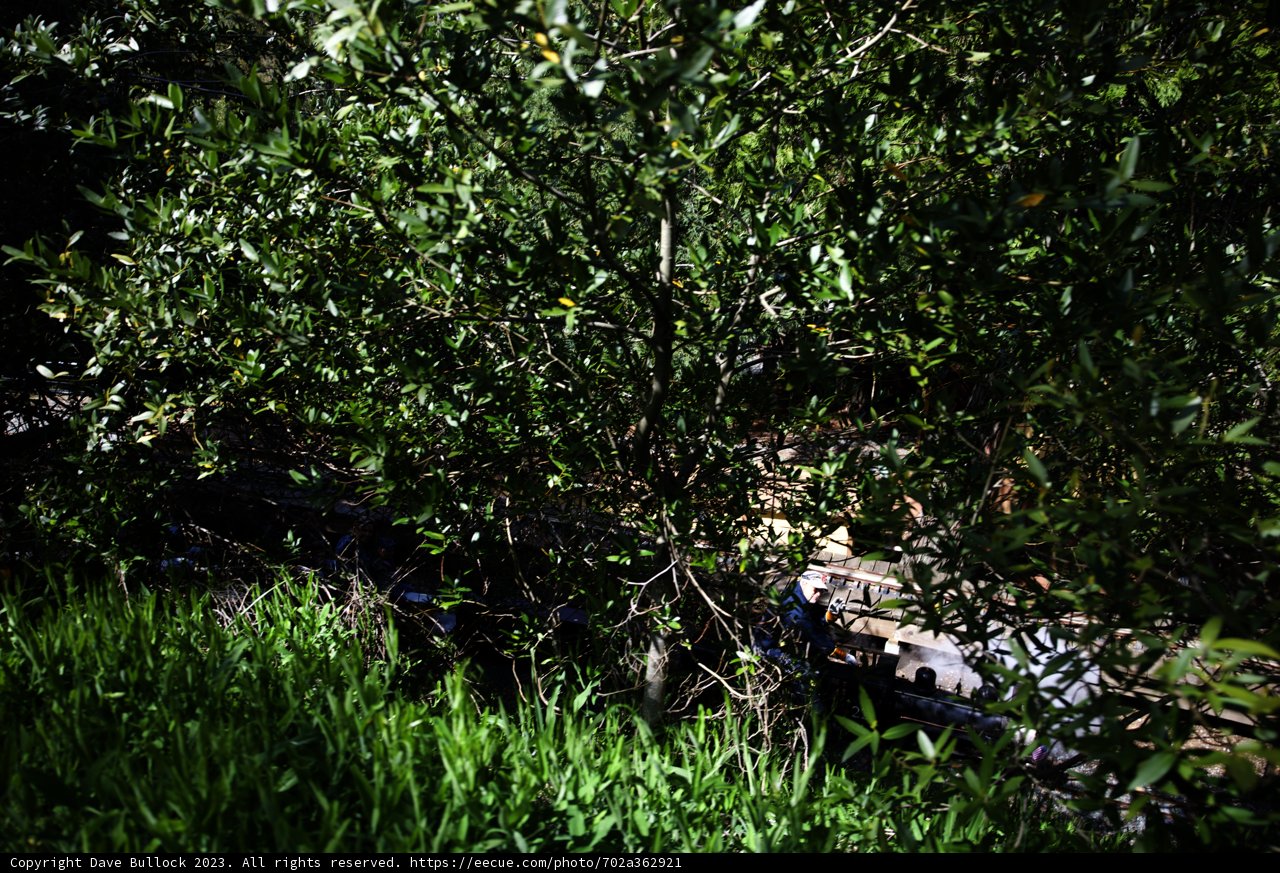 Serene Encounter at Tilden Regional Park