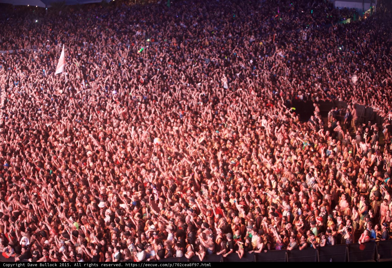 Rockin' Crowd at Coachella