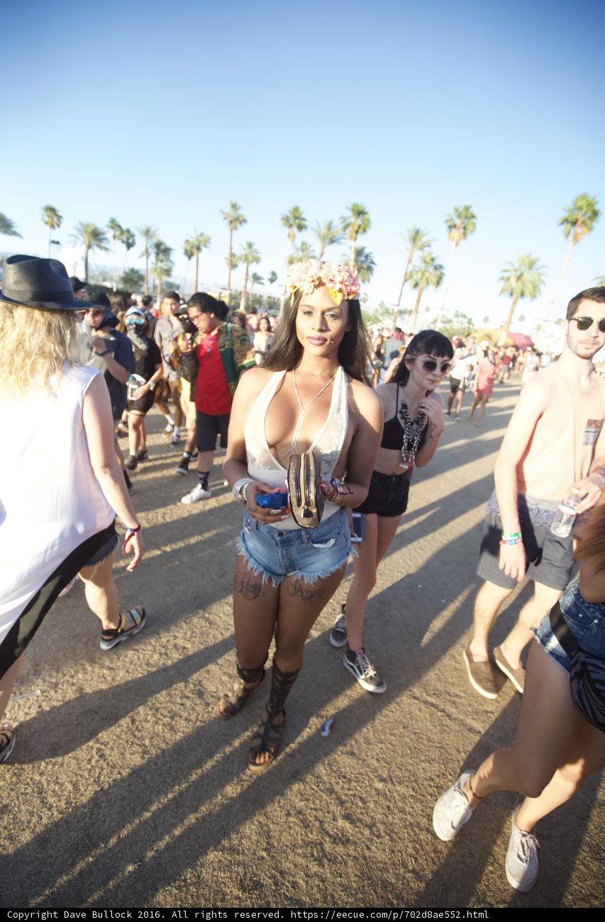 Bikini Babe Takes Coachella by Storm