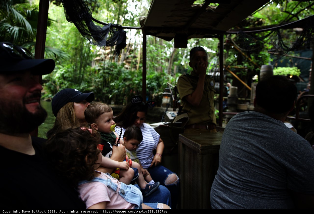 Jungle Adventure with Friends