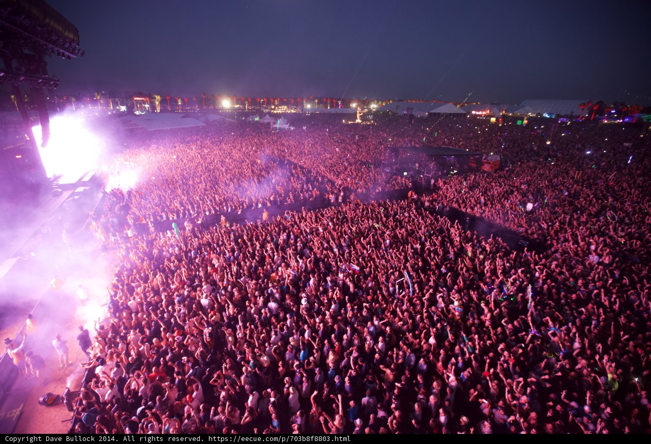A Sea of Music Lovers