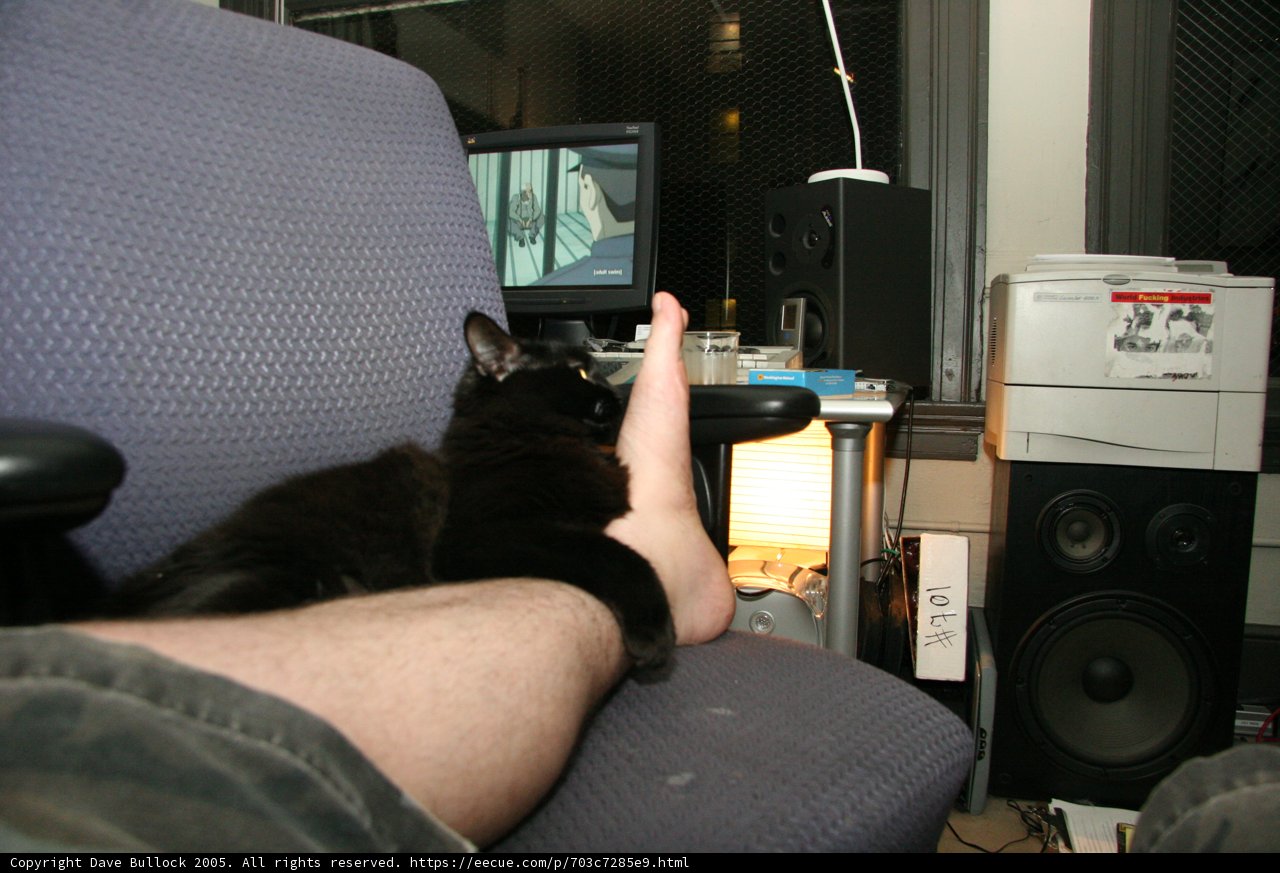 The Ultimate Netflix Setup