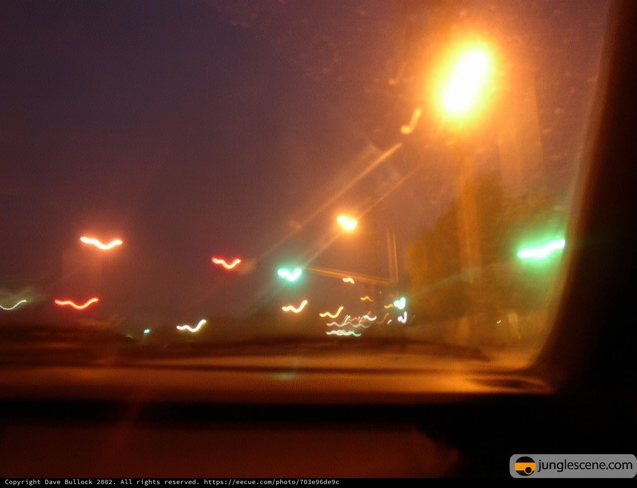 City Lights on Wheels
