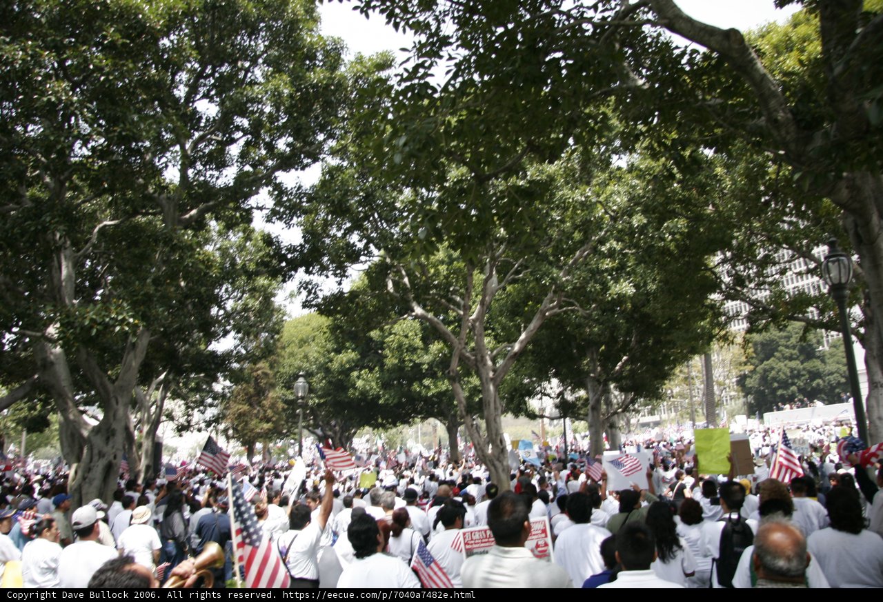 Patriotic Gathering in the Park