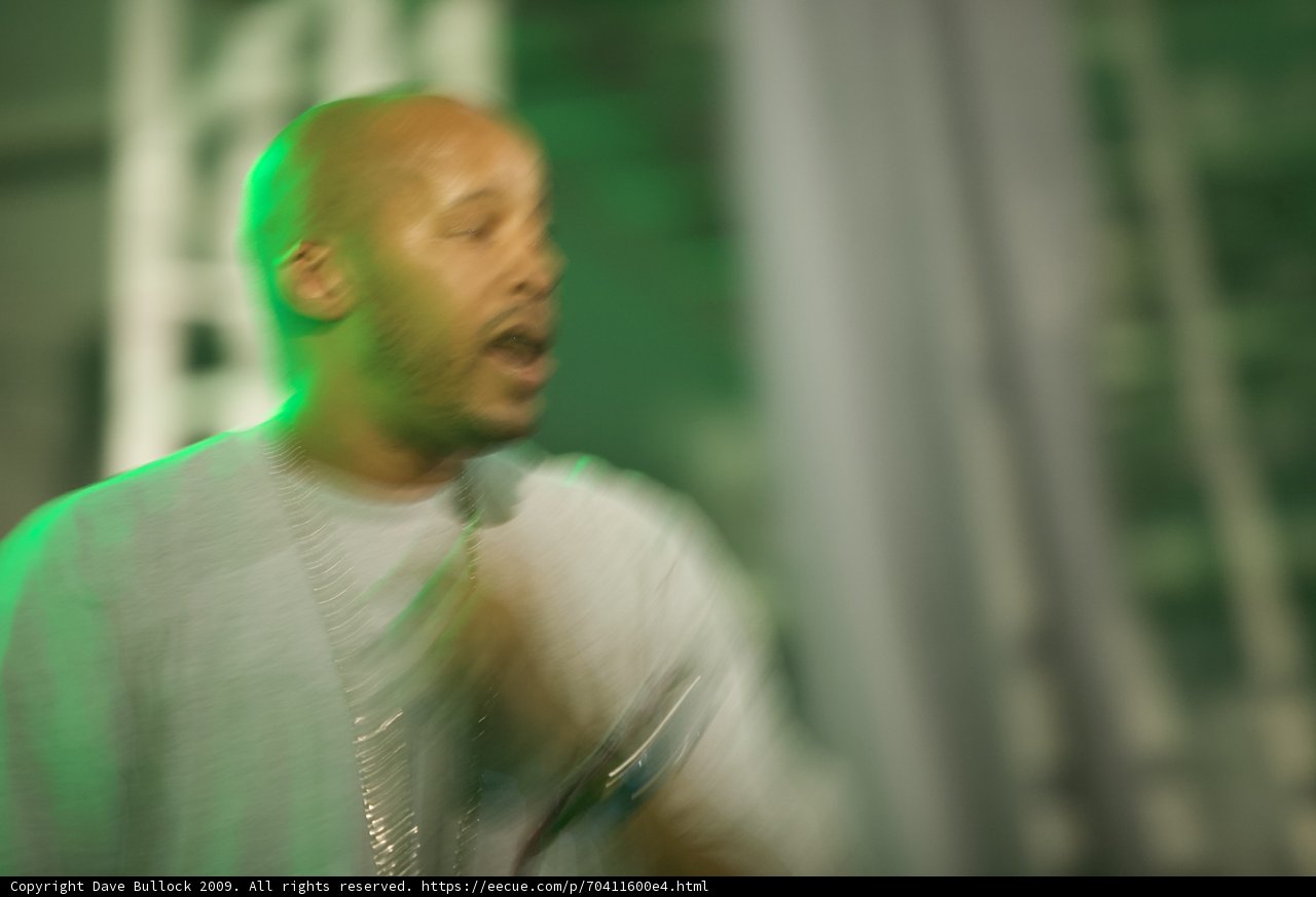 The Bald and the Beautiful