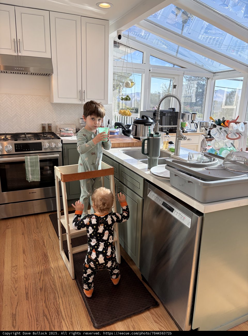 Morning Mischief in the Kitchen