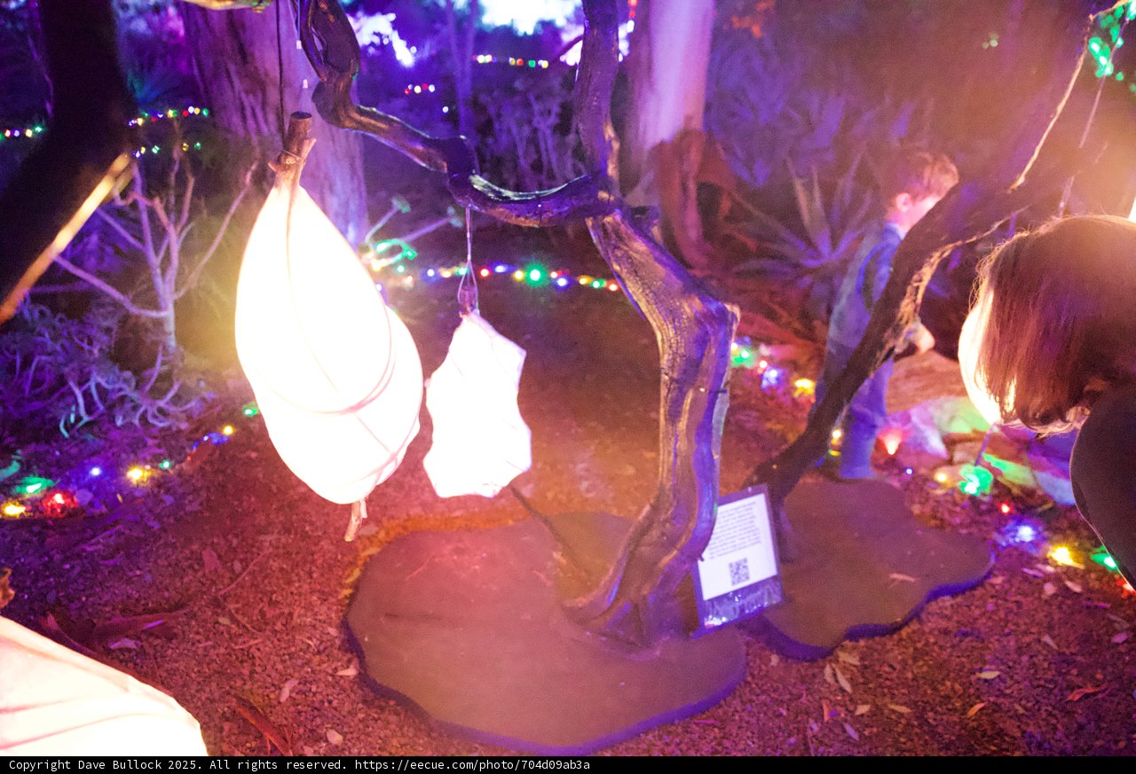 Enchanted Luminescence