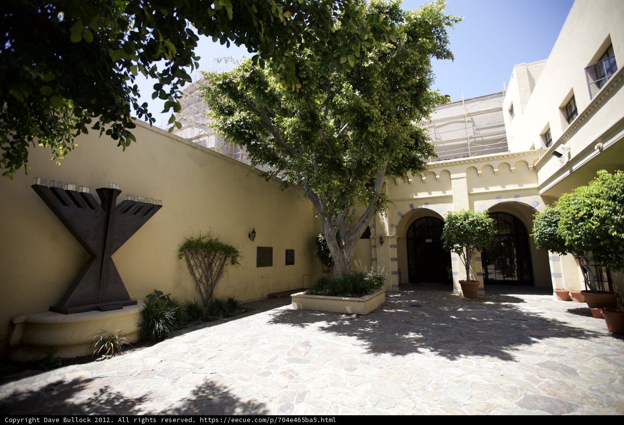 Serene Courtyard with Tree and Statue