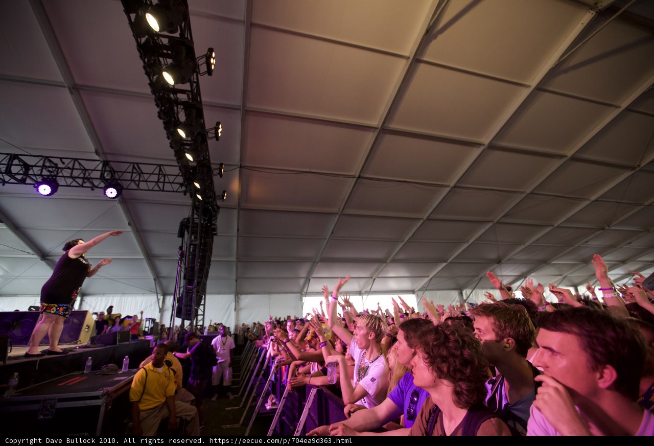 Electric Crowd