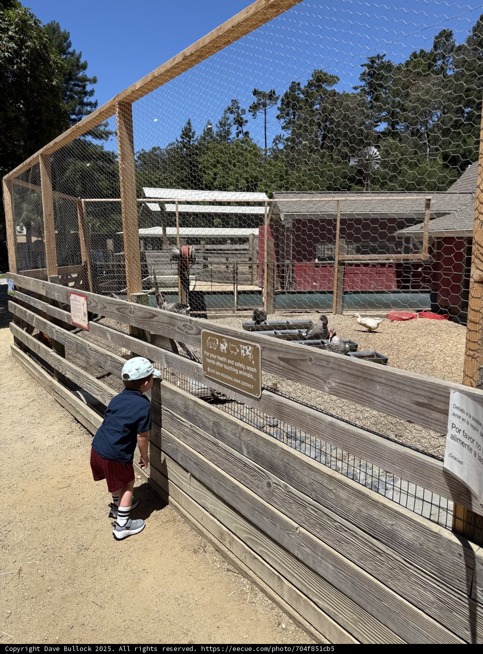 Curious Explorations at Tilden Nature Area