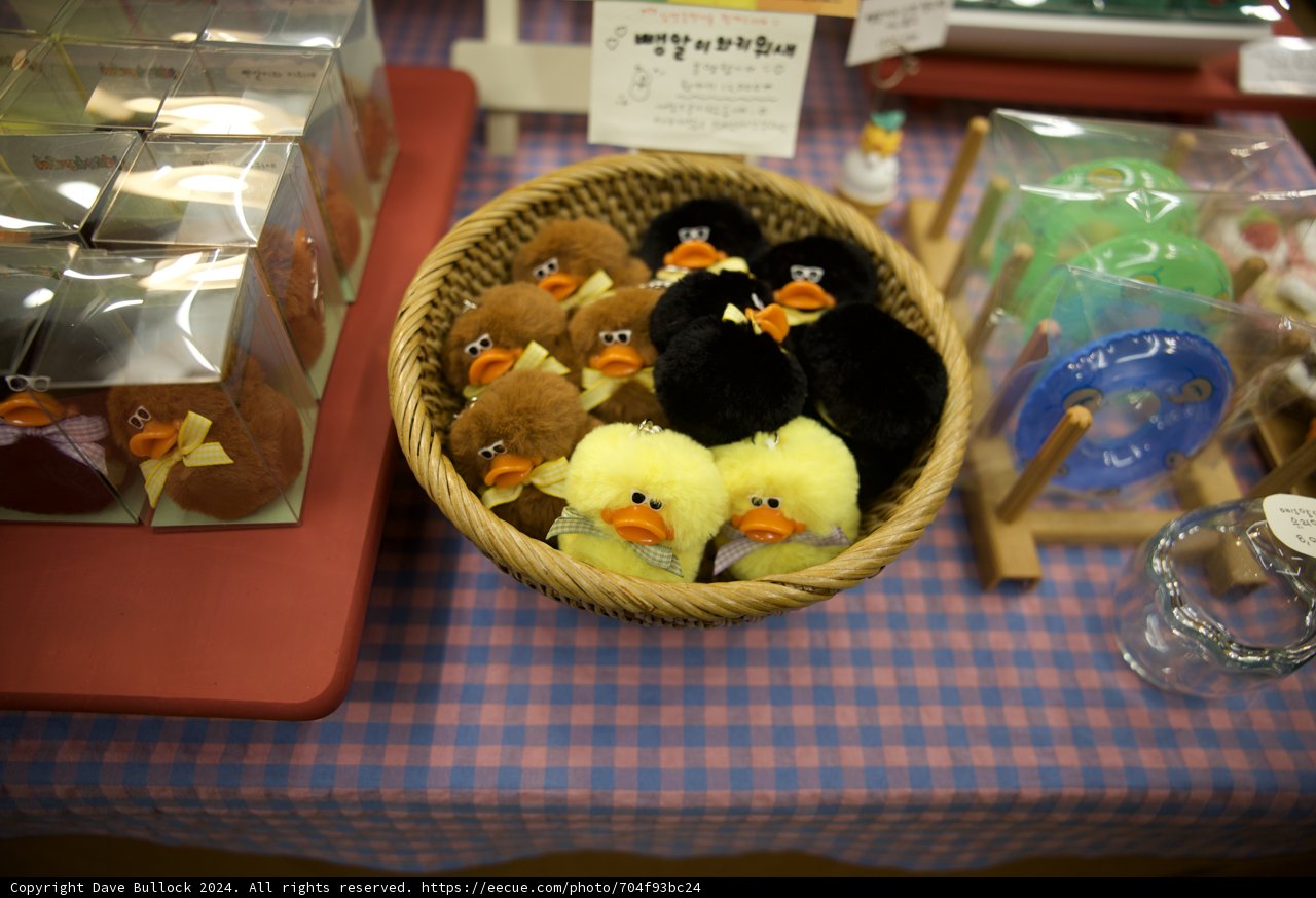 Seoul Memory: Stuffed Animals Encounter