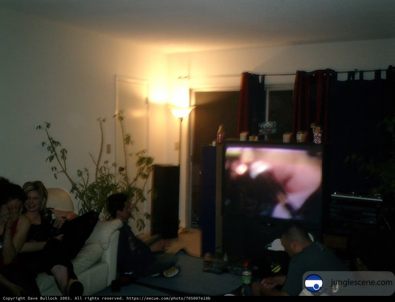 TV Night with Friends