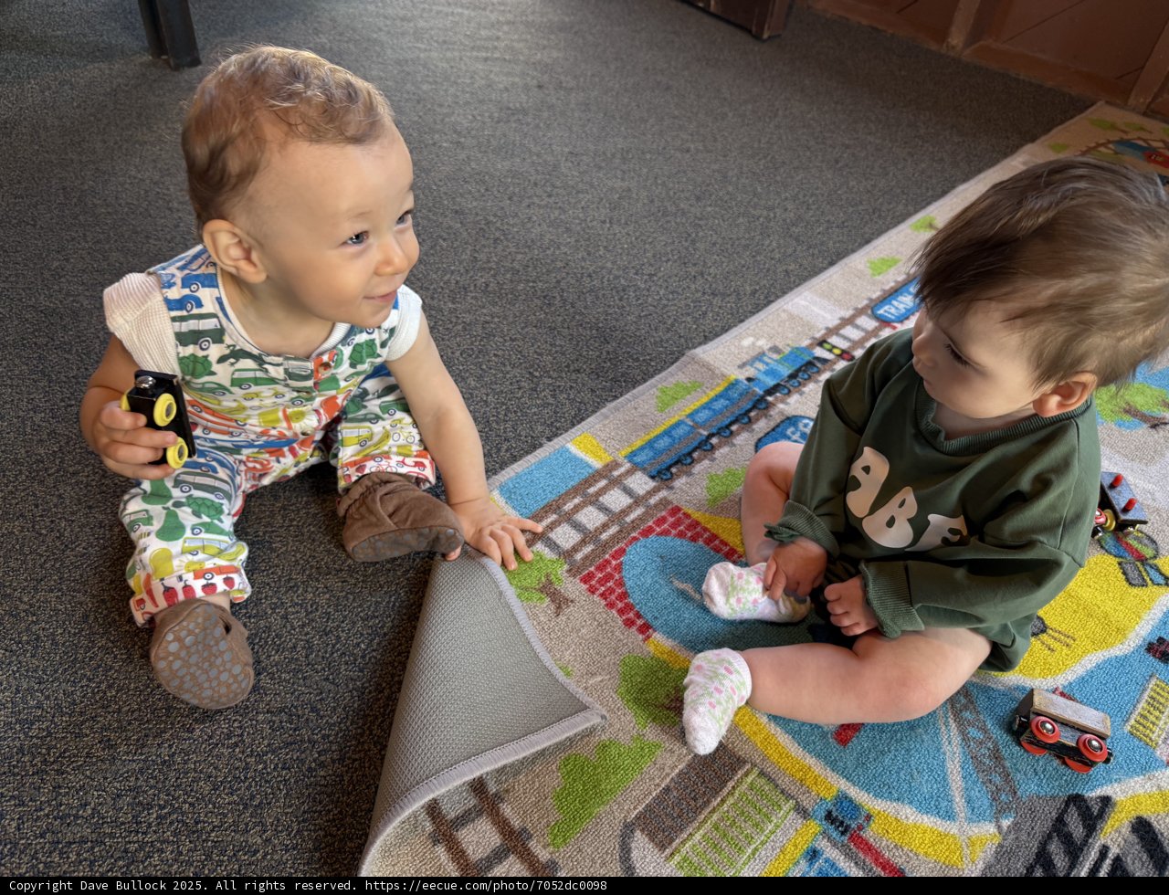 Playtime Curiosity